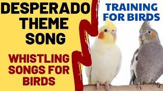 DESPERADO with Whistling - Whistling Songs for Bird, Cockatiel, Parrot, Budgie