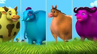 Giant Funny Animals - Live | Funny Fat Animals Comedy Compilation | Cow, Elephant, Cat, Dog, Horse