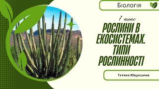 Урок 14. Рослини в екосистемах. Типи рослинності. 7 клас. НУШ