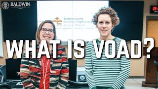 What is VOAD?