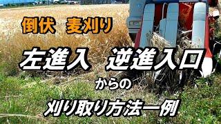 【コンバイン】左進入口・逆進入口からの大麦刈り取り！倒伏・そして粉塵でオーバーヒートに悩まされ・・