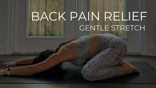 20 Minute Yoga for Back Pain: Stretches to Relieve Back Pain