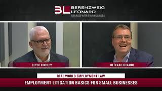 Employment Litigation Basics for Small Businesses