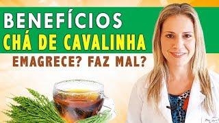 Benefícios do Chá de Cavalinha! Emagrece? Como Fazer? Faz Mal? [DICAS + CUIDADOS]