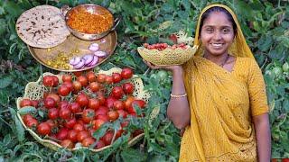 Dinner Food | Desi Tameta Sev Nu Shaak | Village life in summer