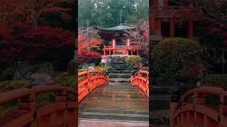 Japan and Rain #japan #rain #nature #beautiful #relaxing