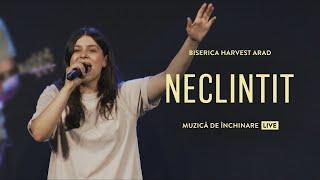 Neclintit | Live | Harvest Arad