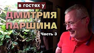 В гостях у Дмитрия Паршина. Часть 3. Еще 3 красивых палюдариума.