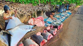 Amazing!! Special Village Most Satisfying Super Streets Fish markets