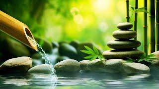 Relaxing Piano Music 24/7 - Bamboo, Relaxing Music, Yoga, Zen, Meditation Music, Nature Sounds