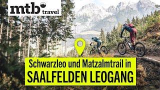 Biken in Saalfelden Leogang I Matzalm Trail I Schwarzleo Trail I mtb travel