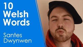 10 Welsh Words - Santes Dwynwen Day (Learn Welsh +)