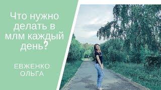 Что нужно делать новичку на старте/ Ежедневные действия в млм