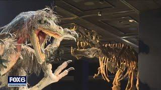 Milwaukee Public Museum Tyrannosaurs exhibit; immersive experience | FOX6 News Milwaukee