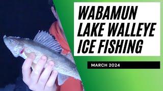 Ice Fishing for Walleye March 2024 at Wabamun Lake, Alberta