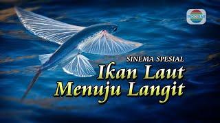 Mimpi Torani si Ikan Terbang yang Pemberani #AlamSemenit