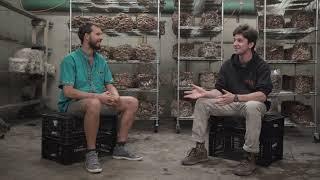 Mushroom Farmer Interview with Ben from Rock City Mushrooms