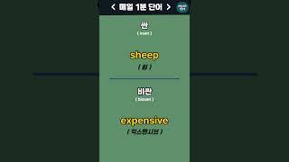 싼 , 비싼 - 매일1분 기초단어 [26] EnglishㅣKorean | 영어공부 #영어회화 #에이스영어 +