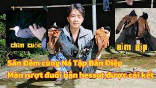Săn Đêm chim Cuốc Bìm Bịp cùng Ná Tập Bắn Điệp và cái kết  săn chim bắn ná cao su bắn chim