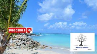 Nature world-عالم الطبيعة   The world of nature    le monde de la nature