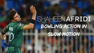 Shaheen Afridi Bowling Action | In Slow Motion | 2021 | Tarush Cricket