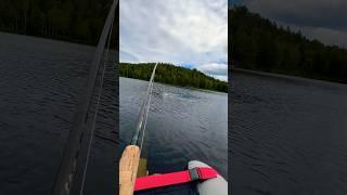 Big Rainbow Trout Challenges My Fly Rod! Love Hearing the Reel Sing! #flyfishing #rainbowtrout #yt