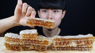 통벌집꿀 ASMR먹방 엄청달아요.. Honeycomb real sound social eating mukbang