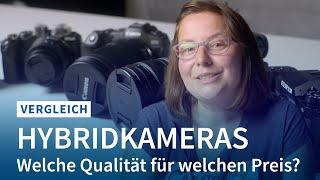 Fünf Hybridkameras im Test: Profiqualität beim Filmen und Fotografieren