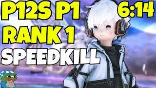 P12 P1 @ 6:14 Rank 1 Speedkill/TA BLM PoV (15,777.6 rDPS / 17,053.8 aDPS)