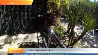 Новости. Седьмой канал. 7 канал Красноярск