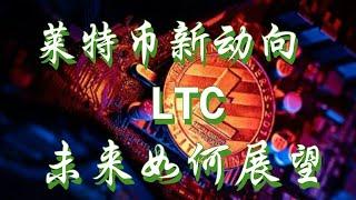 莱特币申请etf对后市有何影响，ltc币未来还有多大机会，莱特币最新行情分析#ltc#莱特币