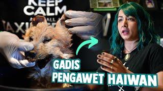 Gadis Pengawet Haiwan | Taksidermi Malaysia