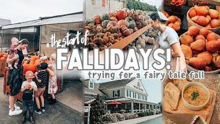 Cozy Fall Vlog: frozen chai, biking for groceries + why this fall is different | FALLIDAYS 2024