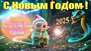 Поздравление с Новым 2025 годом от Кыштымского карлика