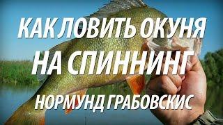 КАК ЛОВИТЬ И ПОЙМАТЬ ОКУНЯ НА СПИННИНГ. ЛЕТНЯЯ РЫБАЛКА С НОРМУНДОМ ГРАБОВСКИСОМ НА ОКУНЯ В АВГУСТЕ