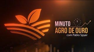 Soja pressionada, trigo em alta, café pujante e azeite barato | MINUTO AGRO DE OURO - 28/12/24