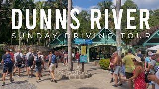 Full Driving Tour from Montego Bay Cruise Port to Dunn's River Falls