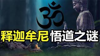 道教创始人点化了佛祖？释迦牟尼又悟到了什么才坚持世界无神论！