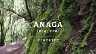 Anaga Rural Park - Tenerife