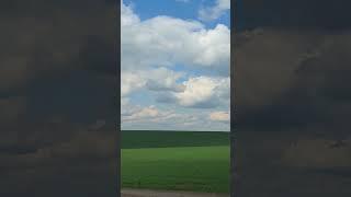 Как же прекрасна центральная Россия! Подъезжаю к Москве