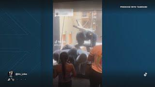 Gorilla fight at Houston Zoo going viral on TikTok