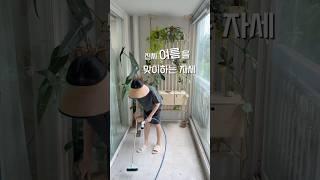 장마를 쾌적하게 보내려면 #베란다정원 #식물 #플랜테리어 #indoorgardening