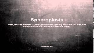 Medical vocabulary: What does Spheroplasts mean