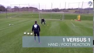 Goalkeeper Reaction Training Drill - Goalkeeping Development and  Michael Rechner