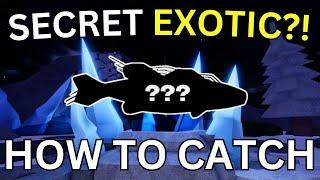 HOW TO CATCH THE NEW SECRET EXOTIC IN FISCH!