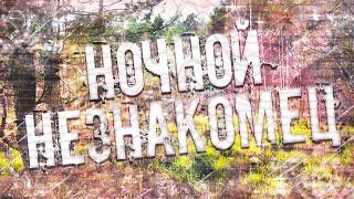 Страшные истории на ночь-Ночной незнакомец