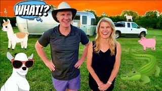 Goats, Gators, Pigs, & One Alpaca - Creative RV Camping with Harvest Hosts!