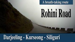 Rohini Road - a breath-taking route from Darjeeling to SIliguri via Kurseong |  Day 7