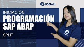 Curso Programación ABAP Iniciación - Split