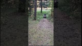 Avantis Hunter 200 В МАКИМАЛЬНОМ ТЮНИНГЕ! #atv #квадроцикл #offroad#200cc #shortvideo